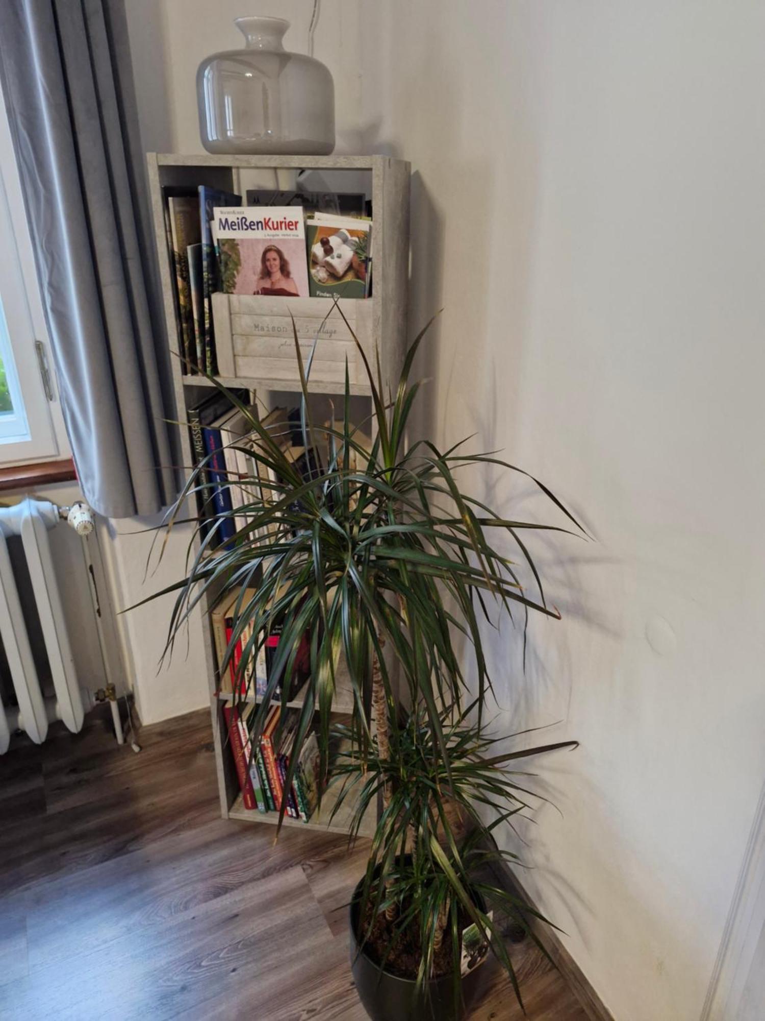 Ferienwohnung Ines Wolf In Der Meissner Innenstadt マイセン エクステリア 写真